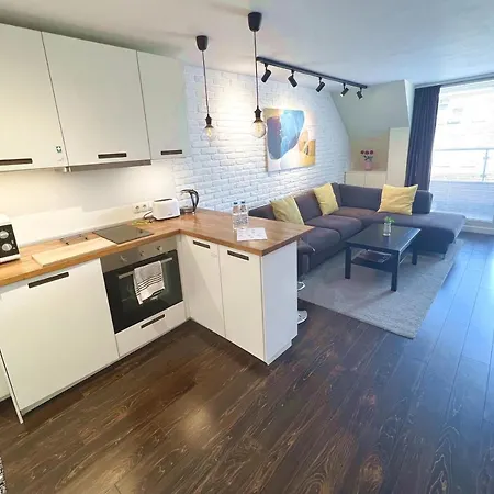 Unique Luxurious Jacuzzi Penthouse Duplex In Center! 2 Baths! Free Parking! Appartamento