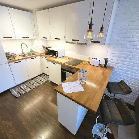 公寓 Unique Luxurious Jacuzzi Penthouse Duplex In Center! 2 Baths! Free Parking!