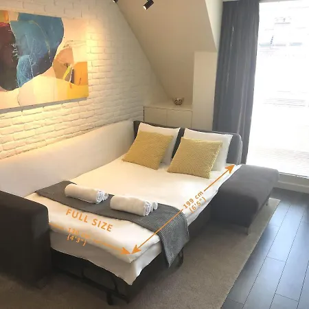 Unique Luxurious Jacuzzi Penthouse Duplex In Center! 2 Baths! Free Parking! 公寓 *