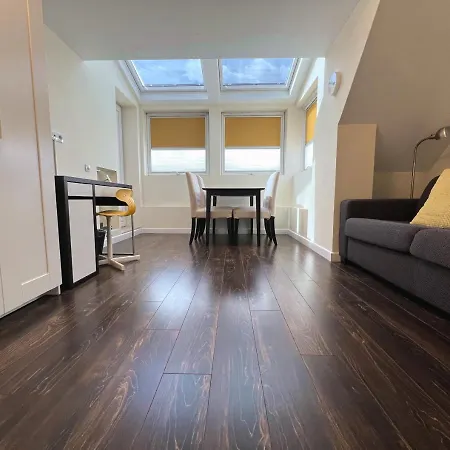 Unique Luxurious Jacuzzi Penthouse Duplex In Center! 2 Baths! Free Parking! София