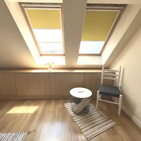 Unique Luxurious Jacuzzi Penthouse Duplex In Center! 2 Baths! Free Parking! Apartment *