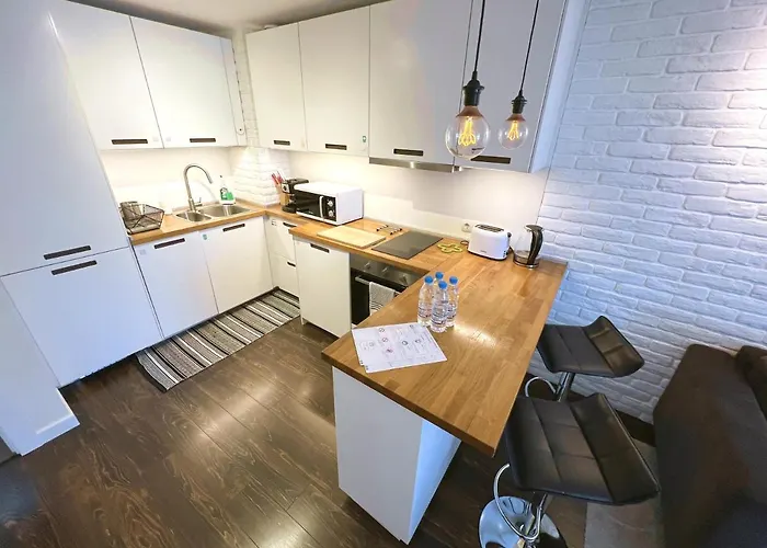 Apartment Unique Luxurious Jacuzzi Penthouse Duplex In Center! 2 Baths! Free Parking!