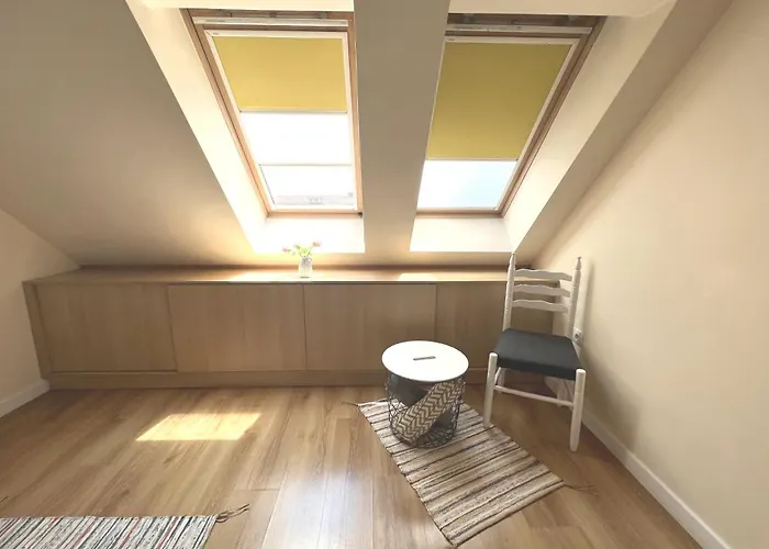 Unique Luxurious Jacuzzi Penthouse Duplex In Center! 2 Baths! Free Parking! Apartment *