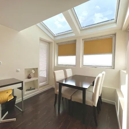 Unique Luxurious Jacuzzi Penthouse Duplex In Center! 2 Baths! Free Parking!